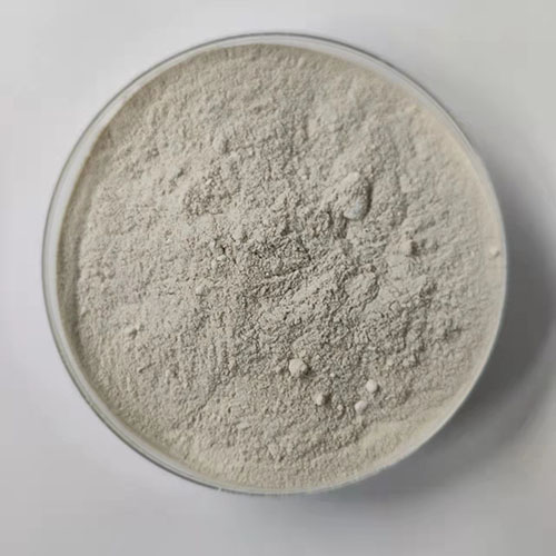 CRS.E-除藻菌剂